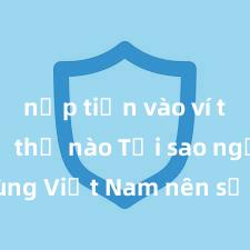 nạp tiền vào ví trust như thế nào Tại sao người dùng Việt Nam nên sử dụng Trust Wallet? Lợi ích và rủi ro